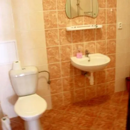 Apartment Ubytovani Susice Susice (Plzen)