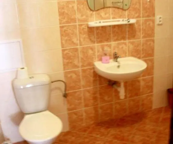 Lägenhet Ubytovani Susice Sušice