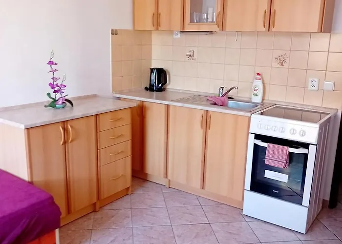 Appartement Ubytovani Susice *