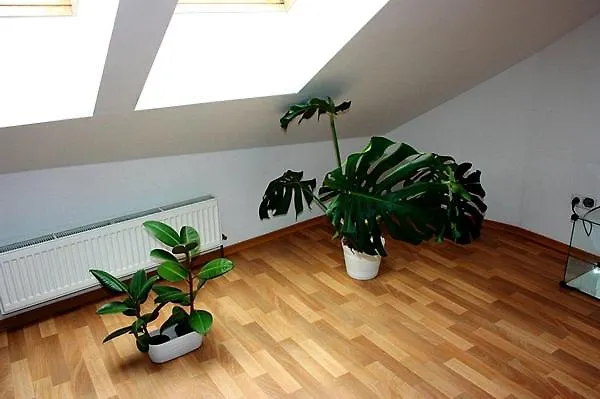 Ubytovani Susice Apartment